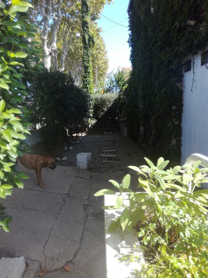Agnes Apartment Limoux Exterior photo