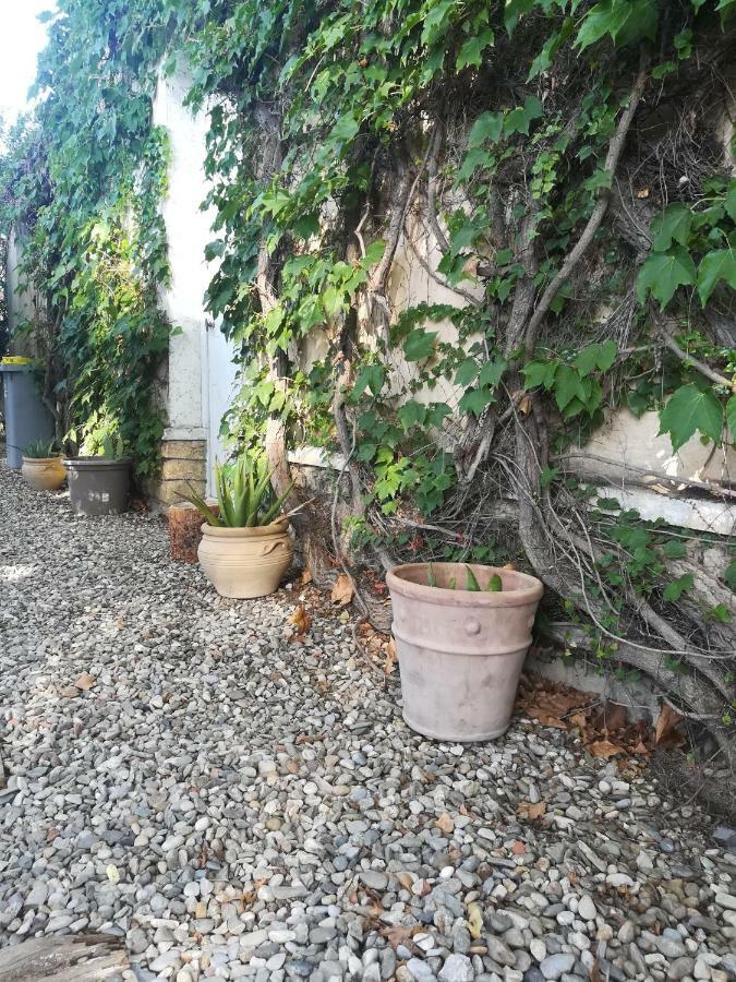 Agnes Apartment Limoux Exterior photo